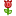 smajl 31